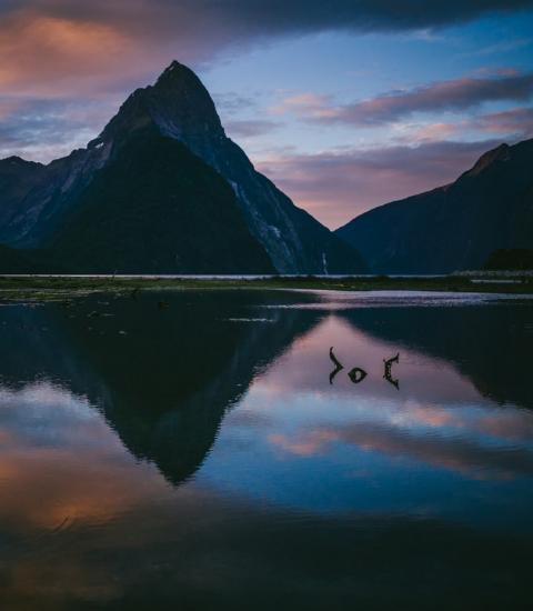 Official Statistics: Mountain reflected on lake Milford Sound New Zealand
