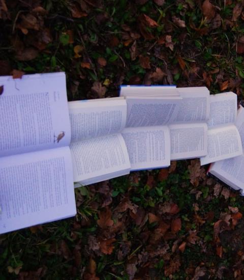 Official Statistics: Open books lined up in grass